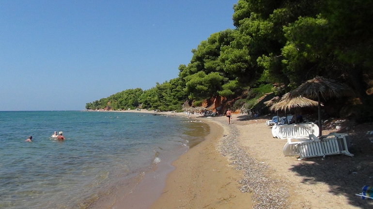  Metamorfosi, Sitonija 